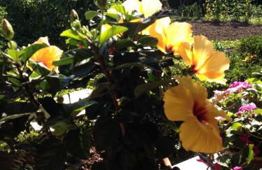 La Casona de Benito - Foto 76