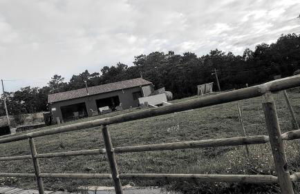 Quinta de São José - Foto 27