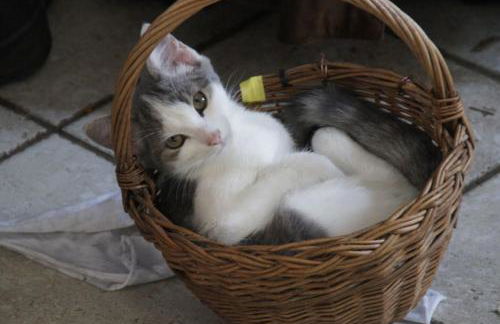 Bushof - Leben auf dem Land - Foto 11