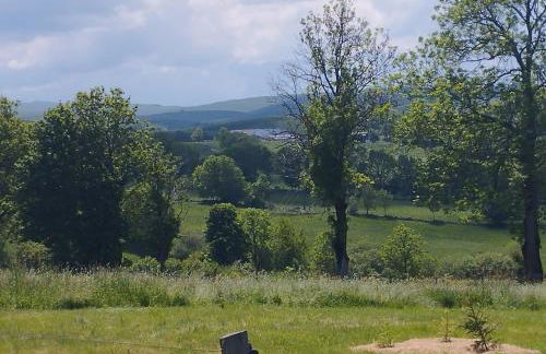 La Roulotte romantique des volcans - Foto 10