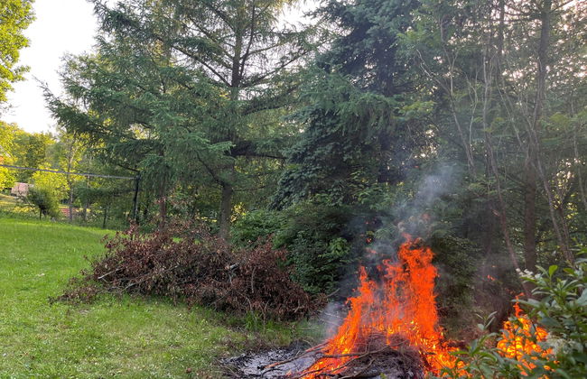 Kierlikówka - Foto 9