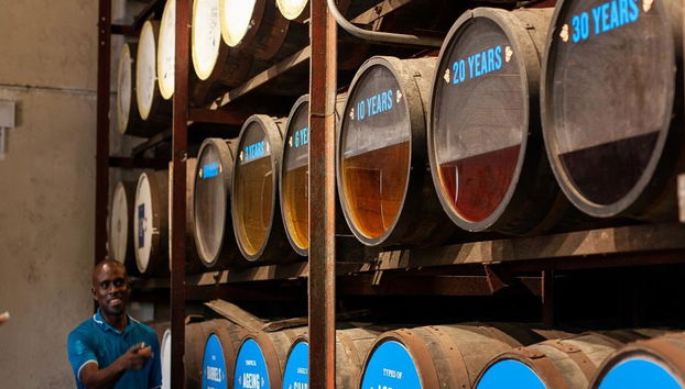 Chukka Appleton Estate, Black River Safari y tirolesa sobre YS Falls - Negril - Foto 3