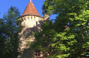 Chateau de Saint Dau - Foto 70