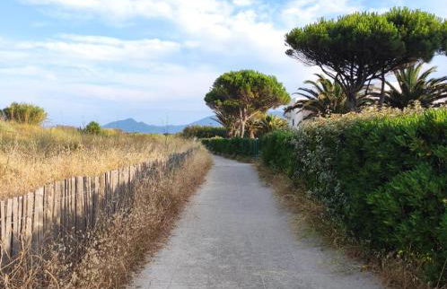 LES CAPITELLES 5 - Accès direct à la plage depuis le jardin - T2 avec cabine - 6 pers - jardin - Piscine - parking - Photo 30