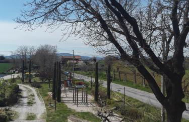 FATTORIA DELLA BILANCIA - Foto 6