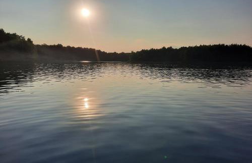 Między Sosnami - Foto 58