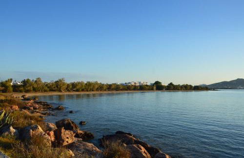 ThalaSEA - village Antiparos - Foto 7