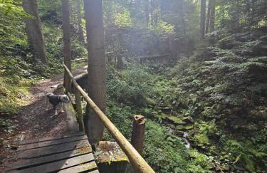 Ferienhaus Waldgefluester - Foto 29