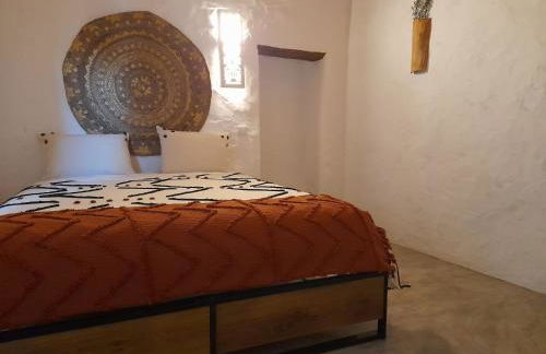 Natur Amêndoa - Foto 47