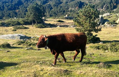 Chalet des loulous , 3 chambres, 8 couchages - Foto 25