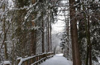 Casa Ledro - Foto 22