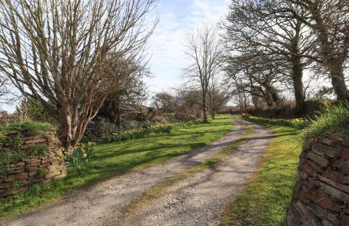 Little Chygowlin - Photo 24