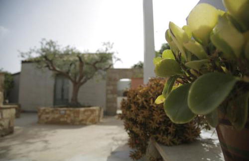 Antico Casale sul Mare - Foto 23