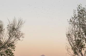 Naftilos Rosmarinus Apartments - Foto 35