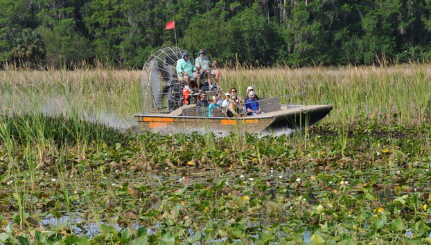 Aventuras en aerodeslizador: Boggy Creek Airboats - Foto 4