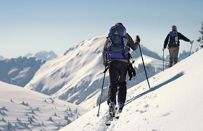 Alpin Lodges - Photo 33