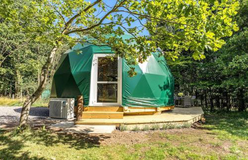 Woodland dome - Foto 34