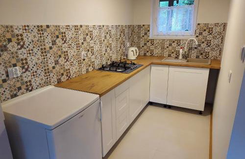 Agroturystyka Pod Klonem - Foto 47