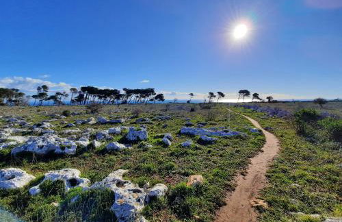 Fata Morgana - Foto 27