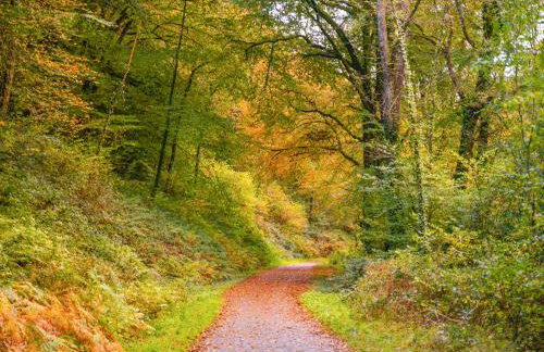 Yarde Orchard - Foto 25