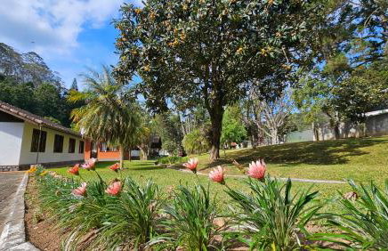 Casa Incrível em Nova Friburgo - Espaço Humedica - Foto 63