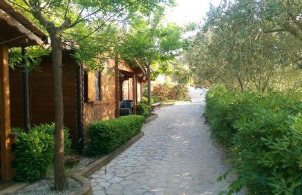 Agriturismo San Leonardo - Foto 67