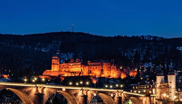 Heidelberg Castle and City Day Tour from Frankfurt - Photo 4