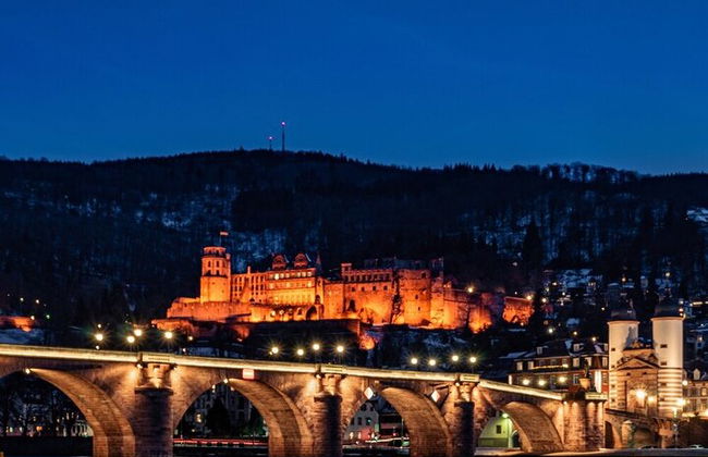 Heidelberg Castle and City Day Tour from Frankfurt - Photo 4