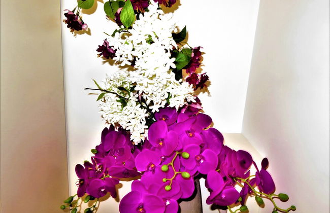 Residenza Montegrappa - Foto 41