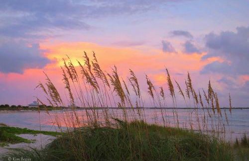Charming 1923 Cottage at Erehwon Retreat - Foto 23