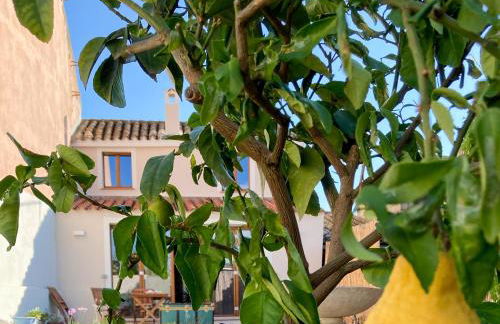 Beni benius - Typical restored house in Nurachi - Foto 62