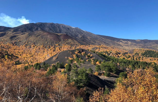 Design Apartment With Terrace by Wonderful Italy - Foto 28