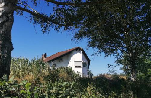 Ferienwohnung mit Charme - Foto 23