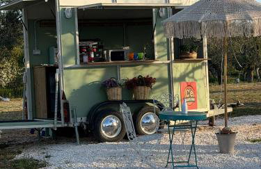 Trulli Fichi Luxury Trullo with Private Spa and Saltwater Pool - Photo 5