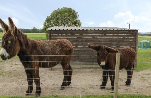 Lon Cottage - Foto 29