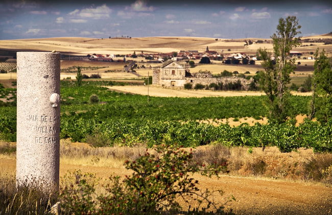 Posada Real del Buen Camino - Foto 51