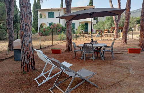 Riccio di Mare - Foto 1