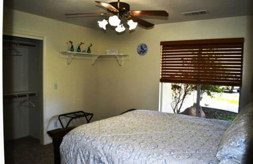 Blue Jay Paradise - Foto 15