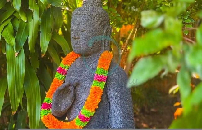 Zenhouse Bali Pool Garden Massive Grounds - Foto 23