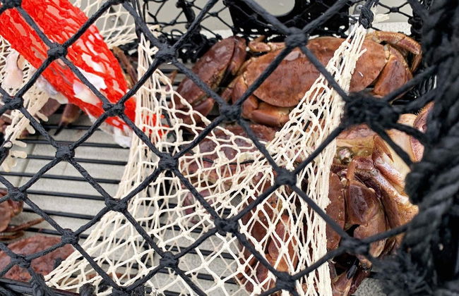 9 Person Holiday Home in Fjortoft - Foto 39