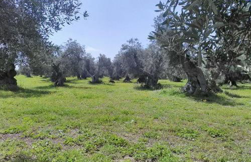 grottedisileno - Foto 34