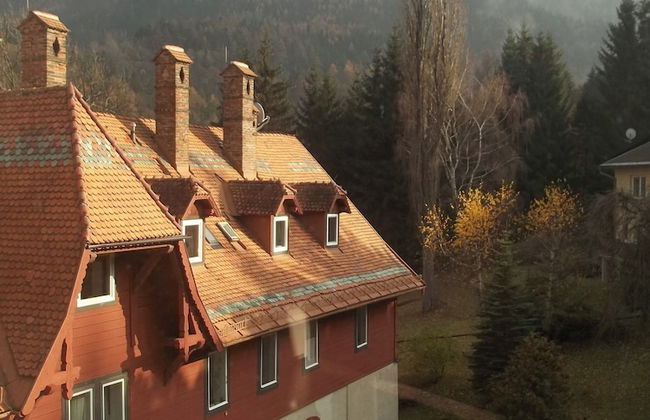 Villa Wellspacher - Renovated 19th Century Villa - Foto 42