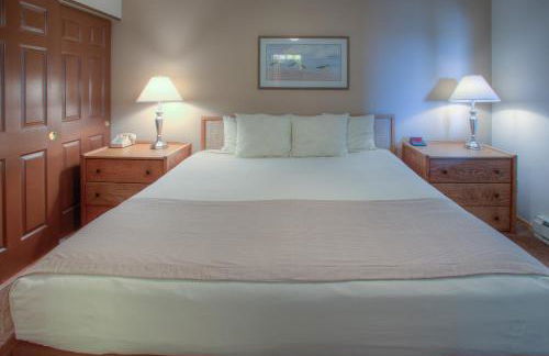 The Grey Gull - Foto 8