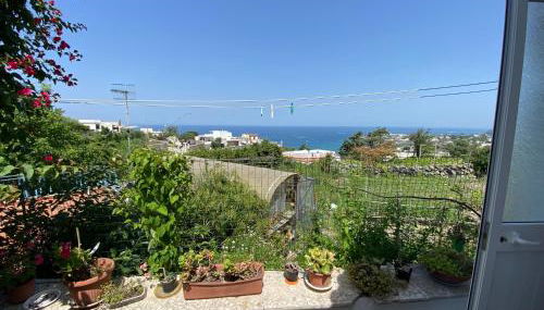 A cas e Rosa - Foto 5