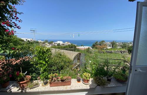 A cas e Rosa - Photo 5