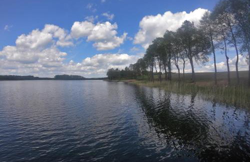 Domki Przy Lesie - Foto 12