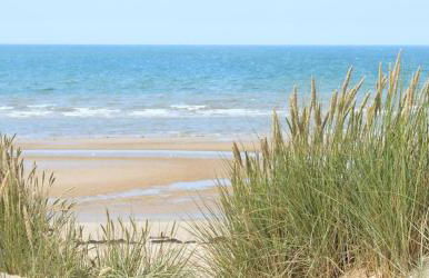 Beach Access Golf Cart Games Fire Pit Beach Chairs - Foto 30