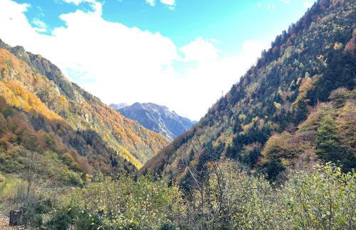 T2 classé 3 étoiles coeur de village et Piscine ext - Foto 45