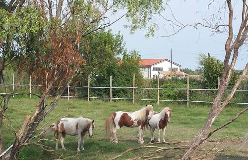 Agriturismo Quadrifoglio Relax - Foto 19