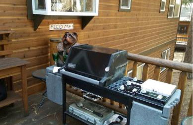 Chamberland Getaway Lake Views with Deck - Foto 7